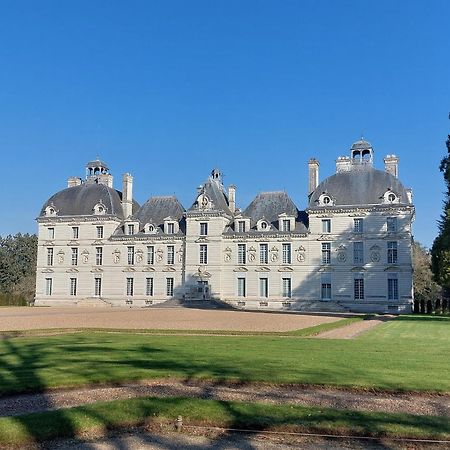 Trainefeuilles - Chambres D'Hotes Proche Zoo De Beauval Le Controis-en-Sologne Bagian luar foto