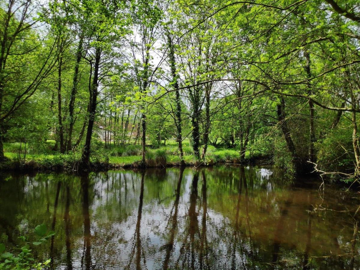 Trainefeuilles - Chambres D'Hotes Proche Zoo De Beauval Le Controis-en-Sologne Bagian luar foto