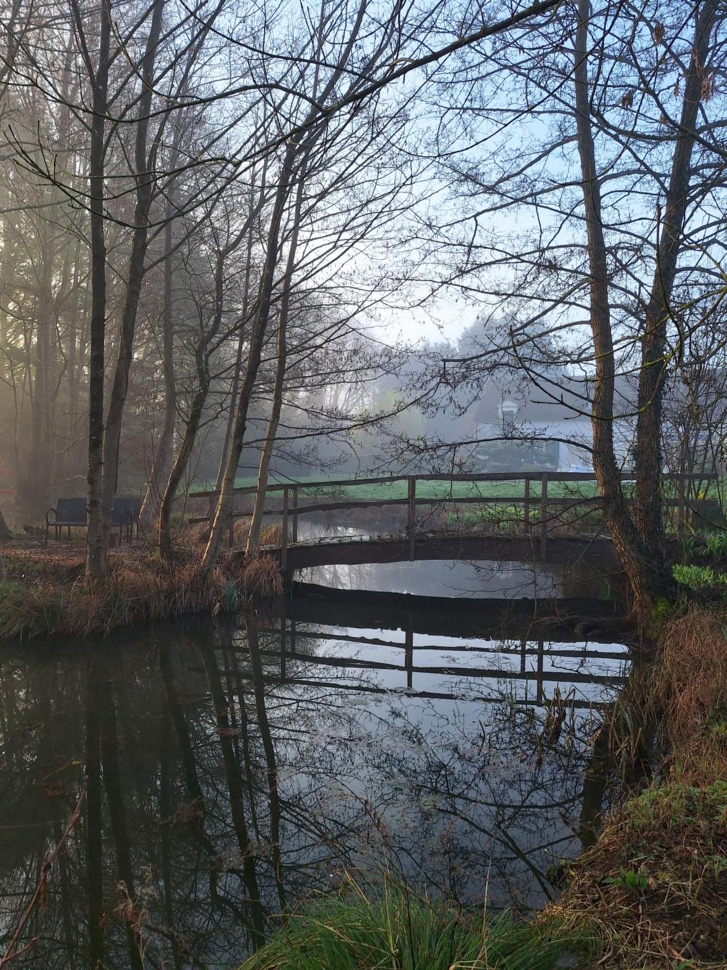 Trainefeuilles - Chambres D'Hotes Proche Zoo De Beauval Le Controis-en-Sologne Bagian luar foto