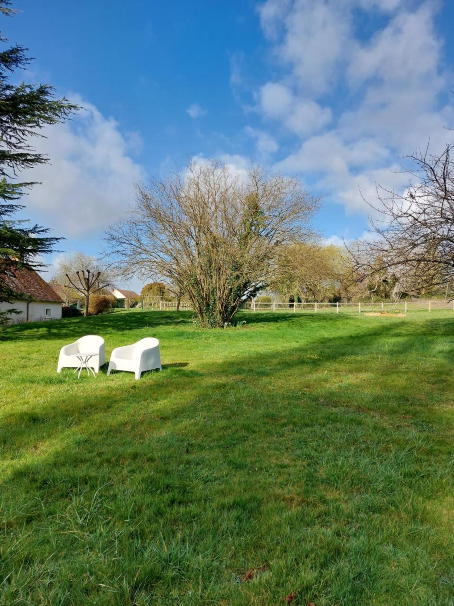 Trainefeuilles - Chambres D'Hotes Proche Zoo De Beauval Le Controis-en-Sologne Bagian luar foto